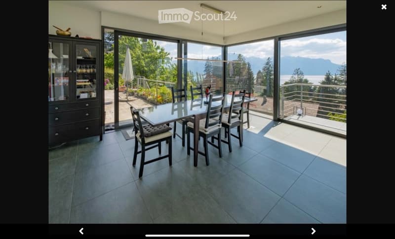 Villa moderne avec superbe vue lac (3)