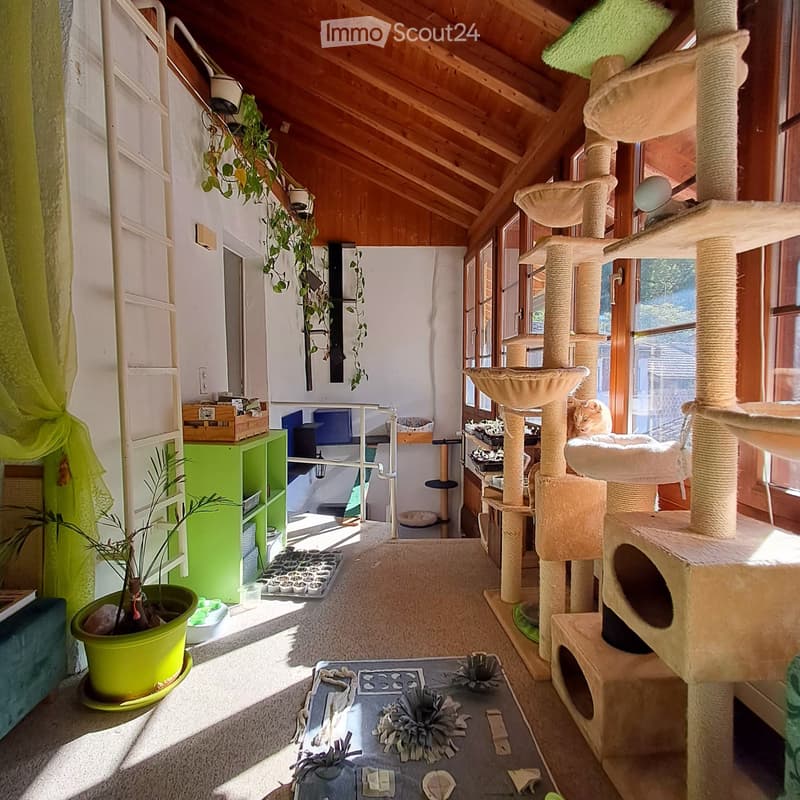 Es wird ein Nachmieter für ein sehr schönes Apartment gesucht (3)