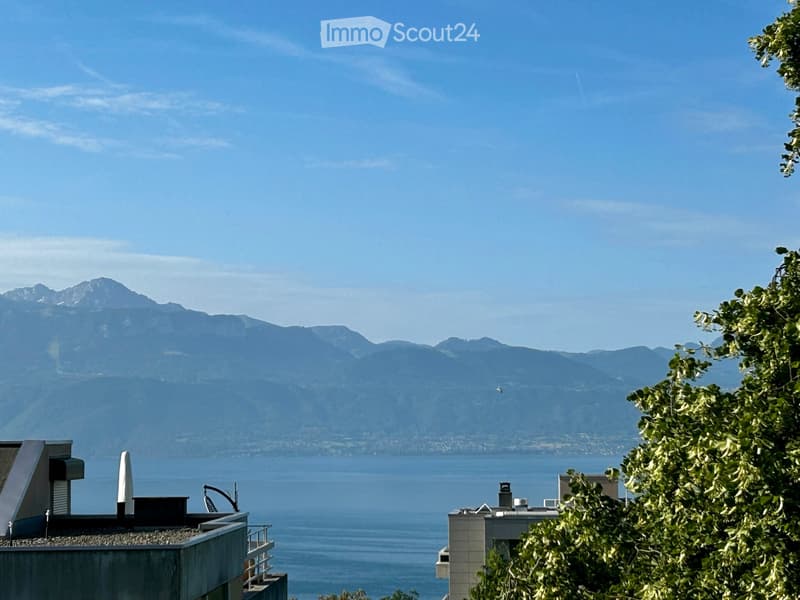 High-standard apartment 180m2 - Mousquines district (3)