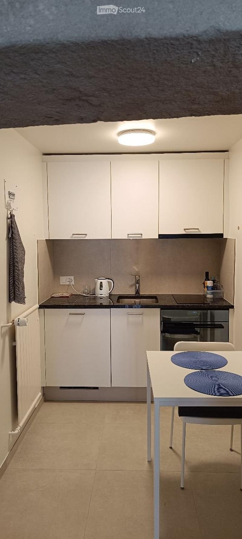 Appartement 1 Zimmer Neuchâtel Cressier frei ab 01.08.26 (4)