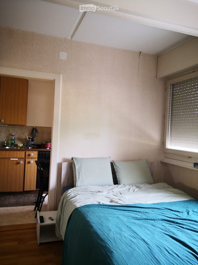 Joli appartement à sous louer à Carouge (3)