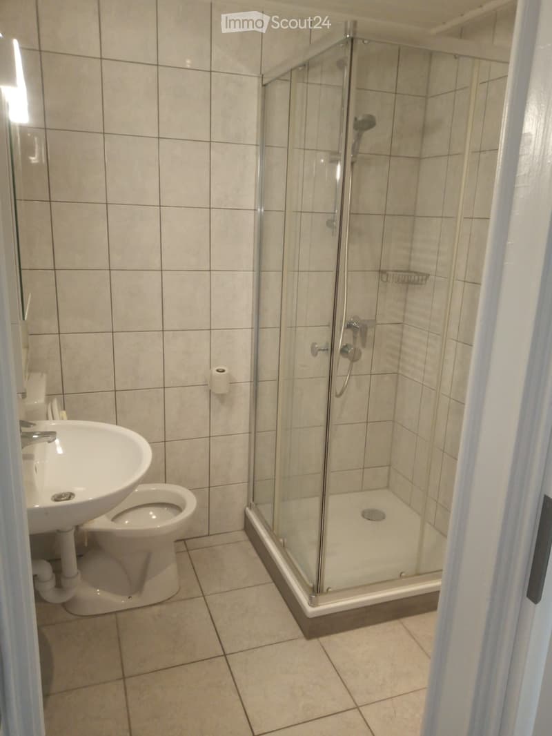 Beautiful renovated apartment (4)