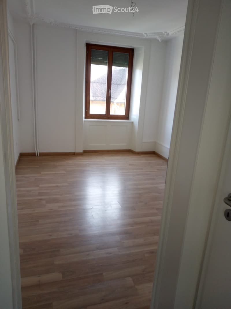 Beautiful renovated apartment (2)