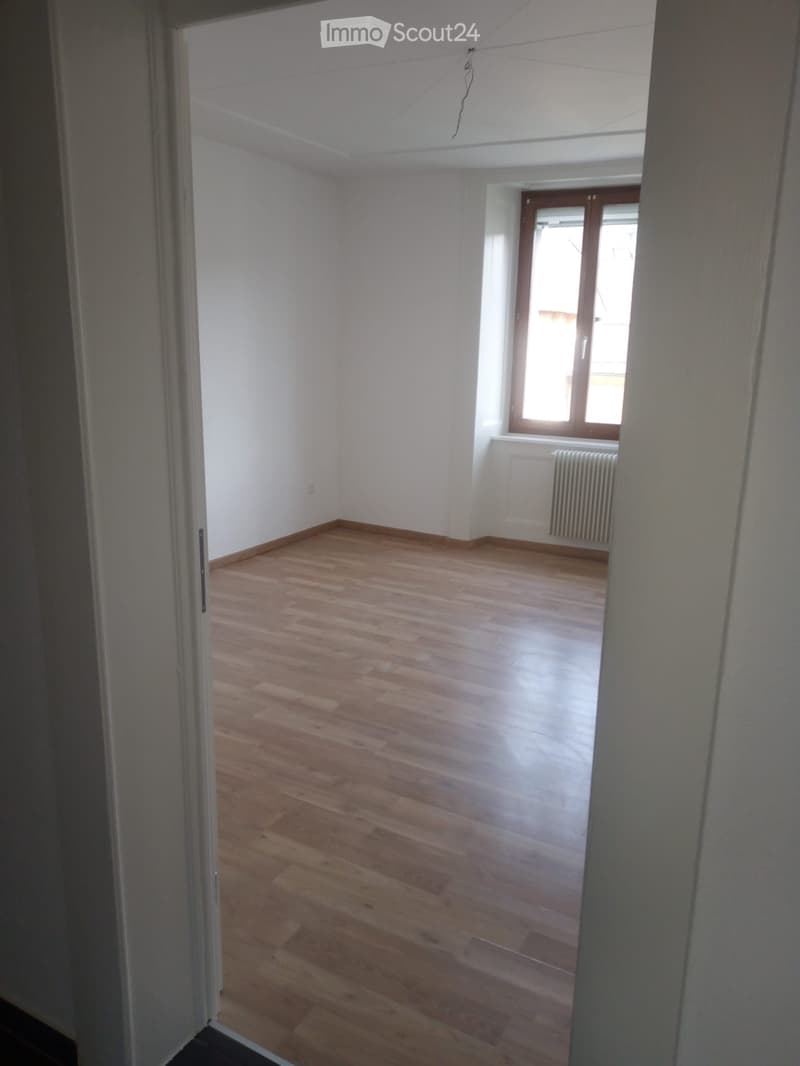 Beautiful renovated apartment (5)
