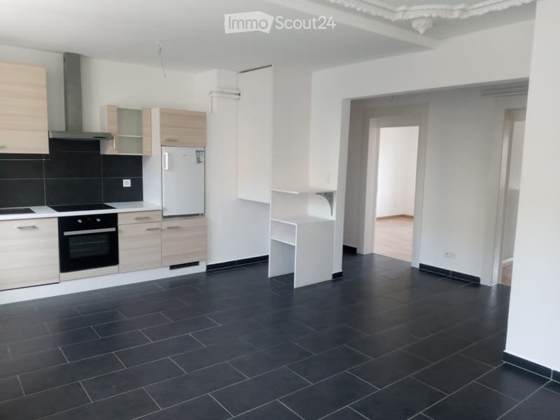 Beautiful renovated apartment (1)