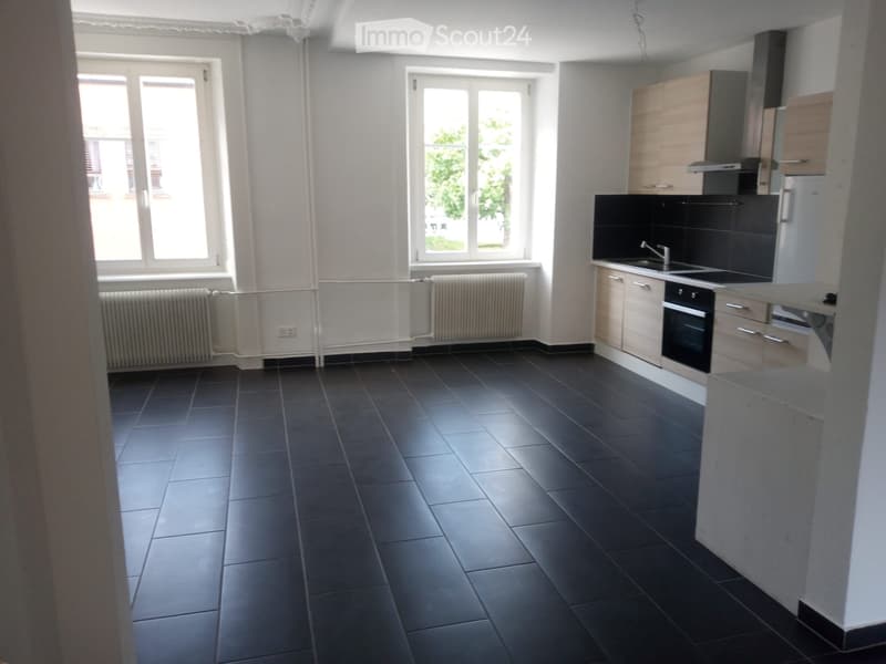 Beautiful renovated apartment (3)