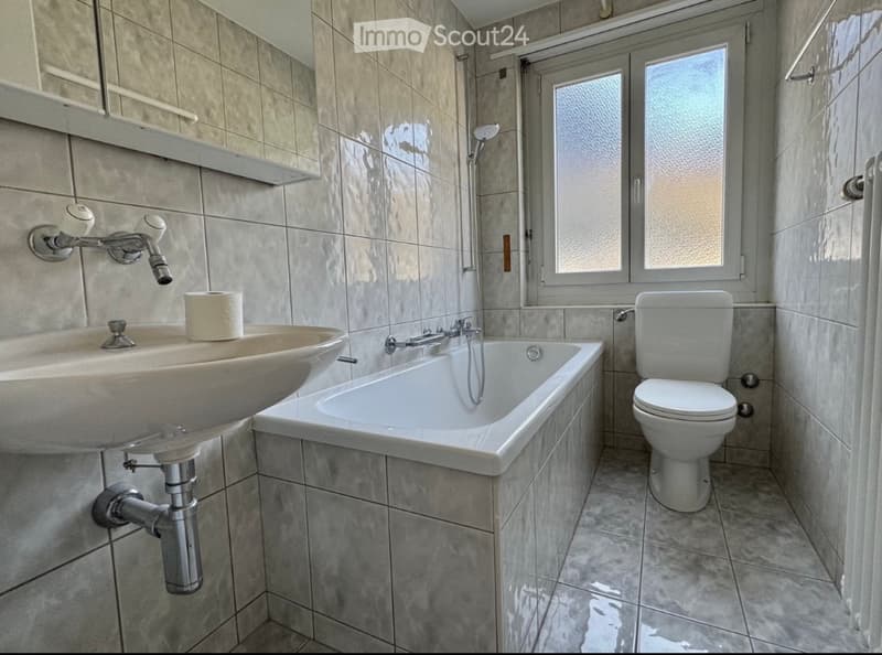 Rent a 4 Rooms Apartament in Naters (5)