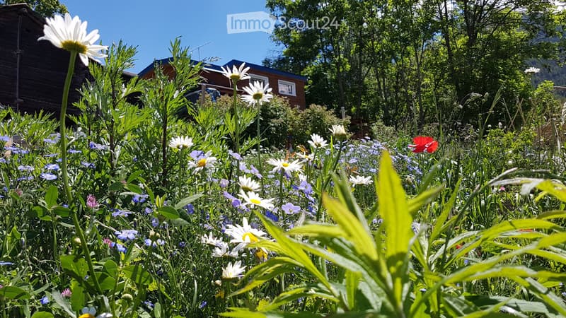 Maison écologique Tiny House (Fahrnisbaute) avec jardin de permaculture de 531 m2 (5)