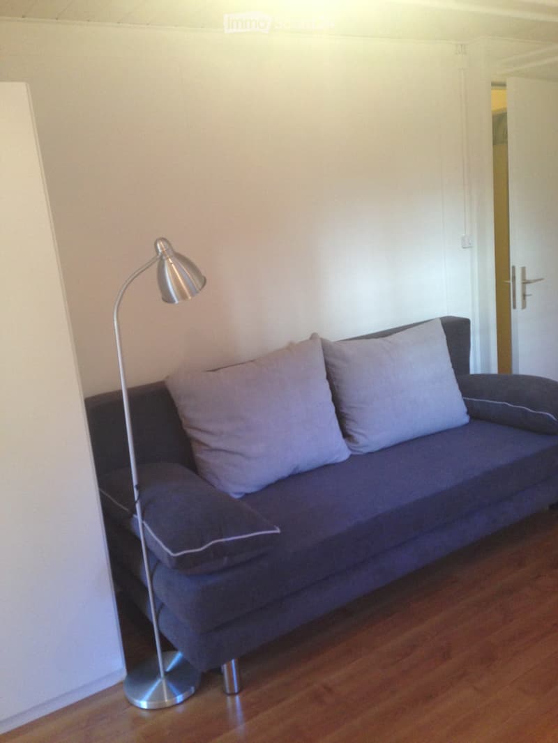 Furnished room with cleaning (1)