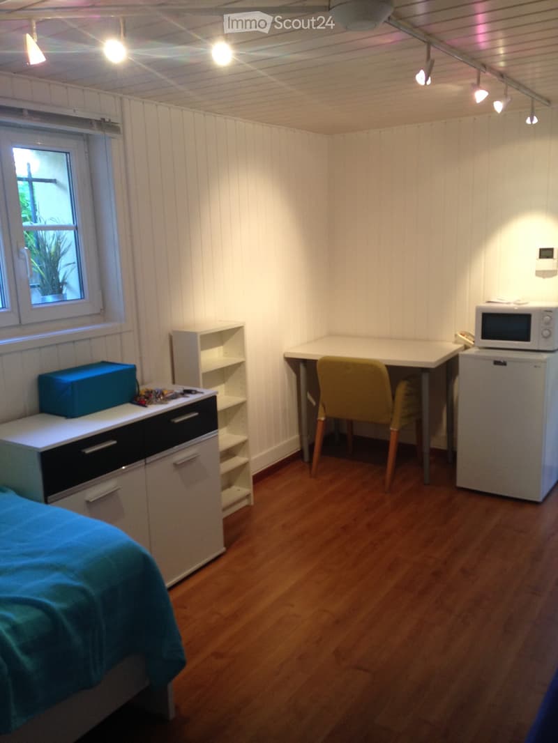 Furnished room with cleaning (3)