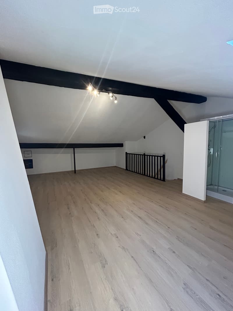 Geräumige Wohnung zur Miete Ruhig - Liddes (VS) (9)