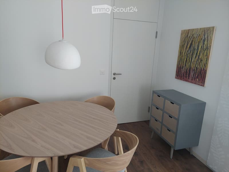 Möblierte Wohnung zur Miete (3)