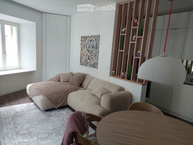 Möblierte Wohnung zur Miete (1)