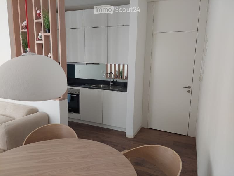 Möblierte Wohnung zur Miete (2)