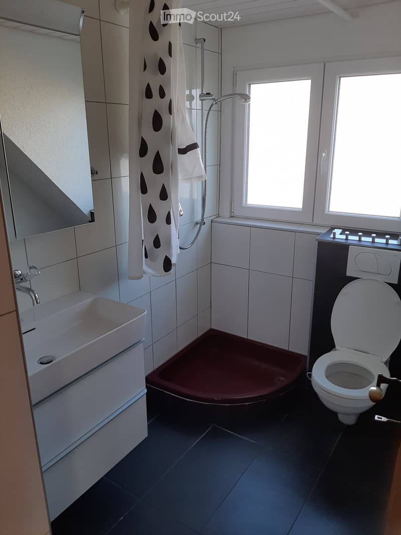 Charming 2.5-room attic apartment with large terrace (3)