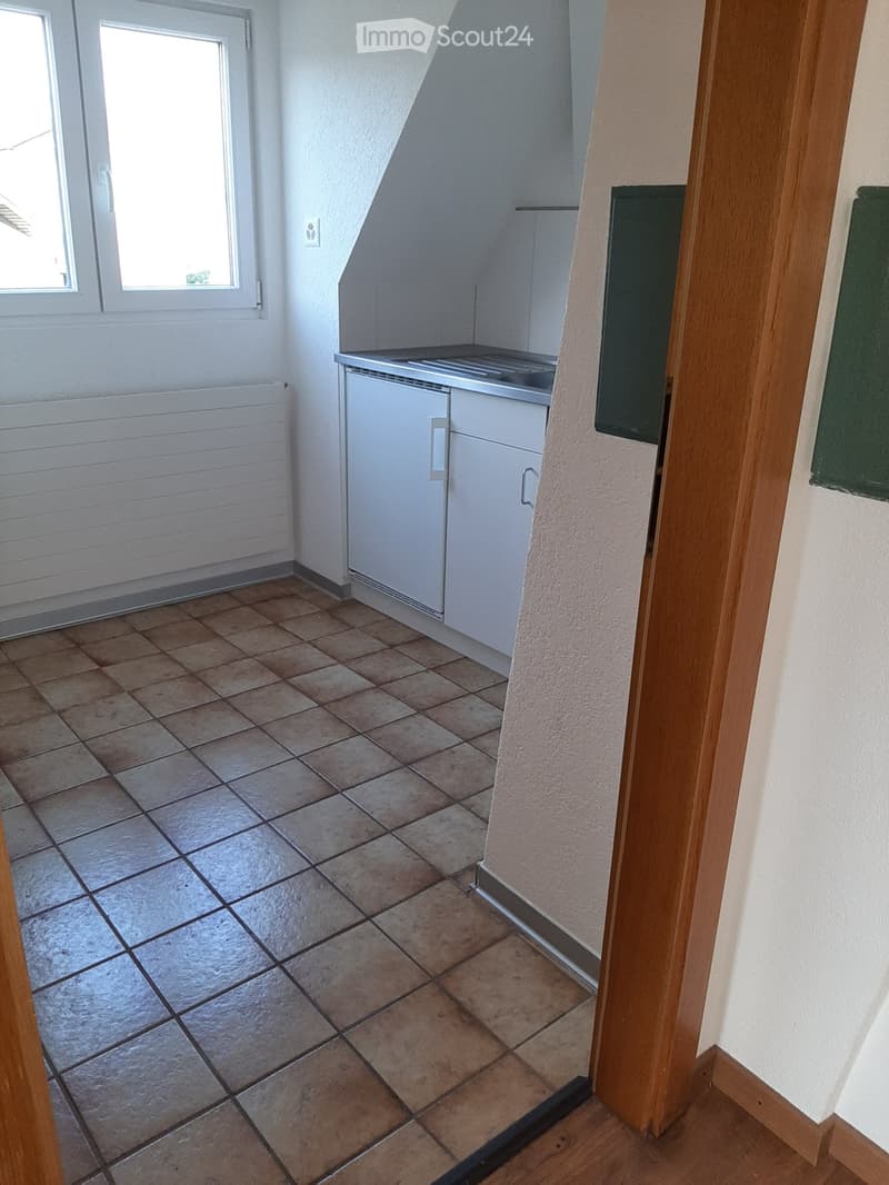 Charming 2.5-room attic apartment with large terrace (5)