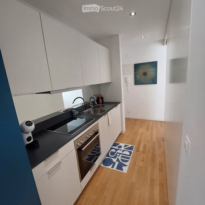 Renovierte Wohnung (3)