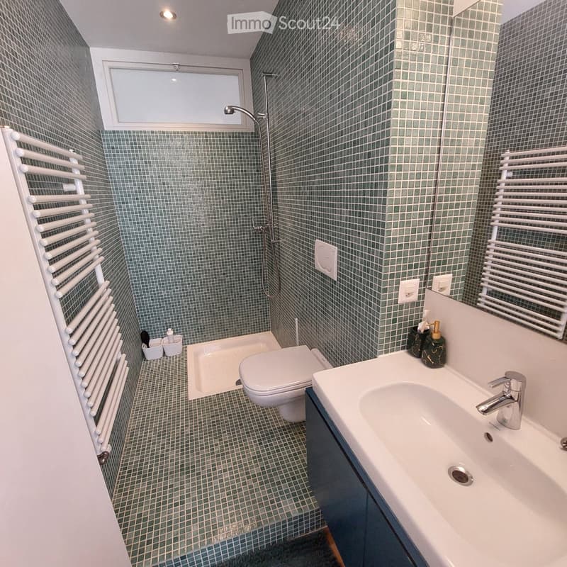 Renovierte Wohnung (5)