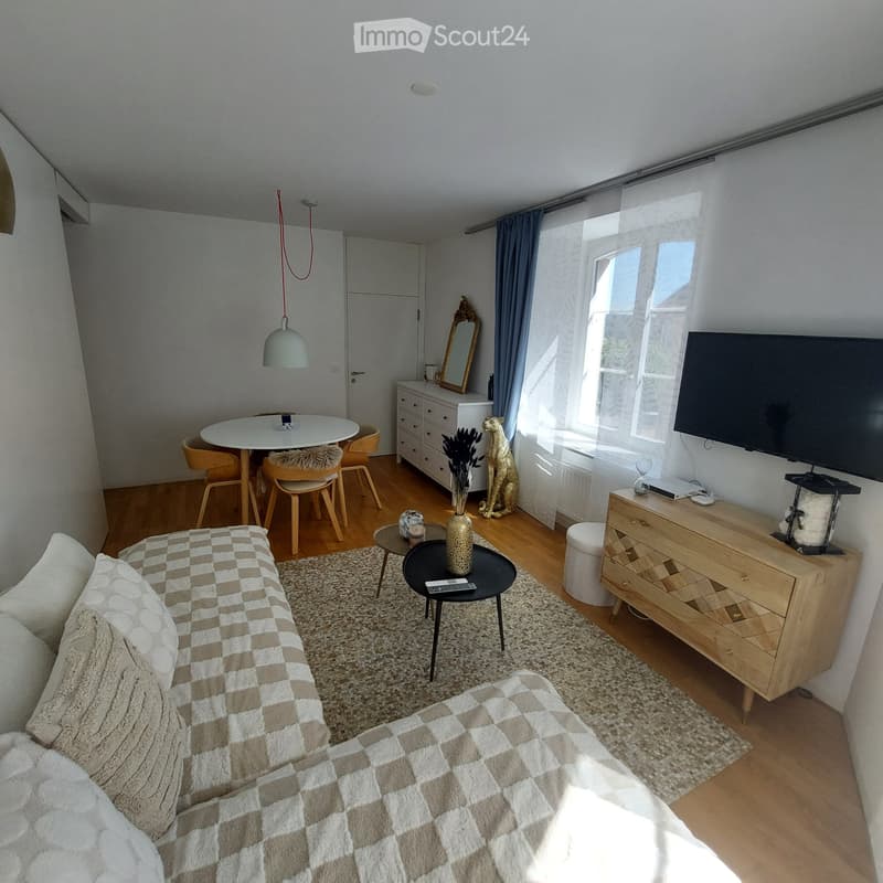 Renovierte Wohnung (2)