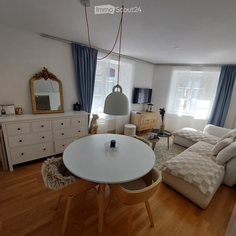 Renovierte Wohnung (1)