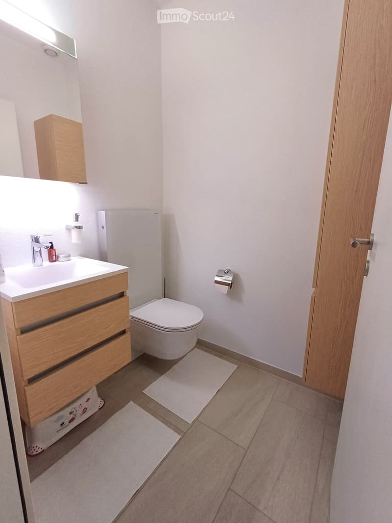 Ampio 3.5 ristrutturato vicino a Locarno con grande terrazza (9)