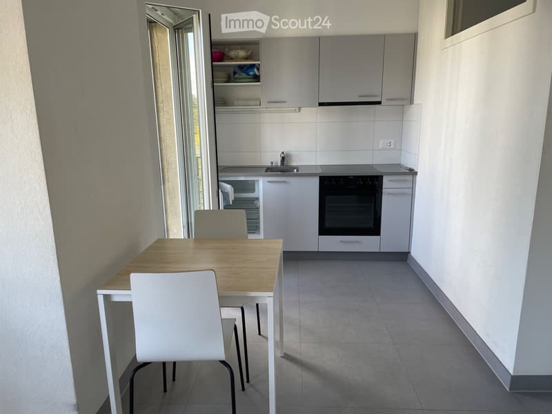 Beautiful furnished studio in city center/CHUV (8)