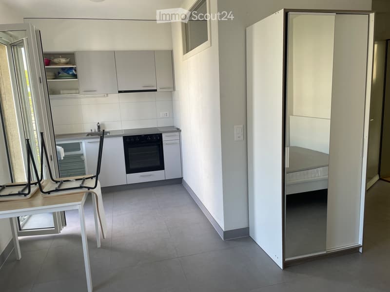 Beautiful furnished studio in city center/CHUV (6)