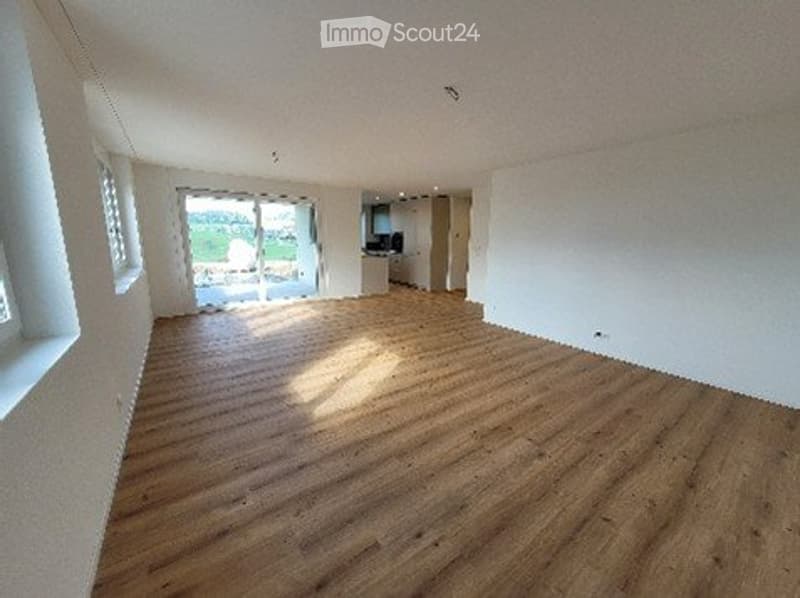 À louer à la ferme, appartement 3½ pièces moderne (4)