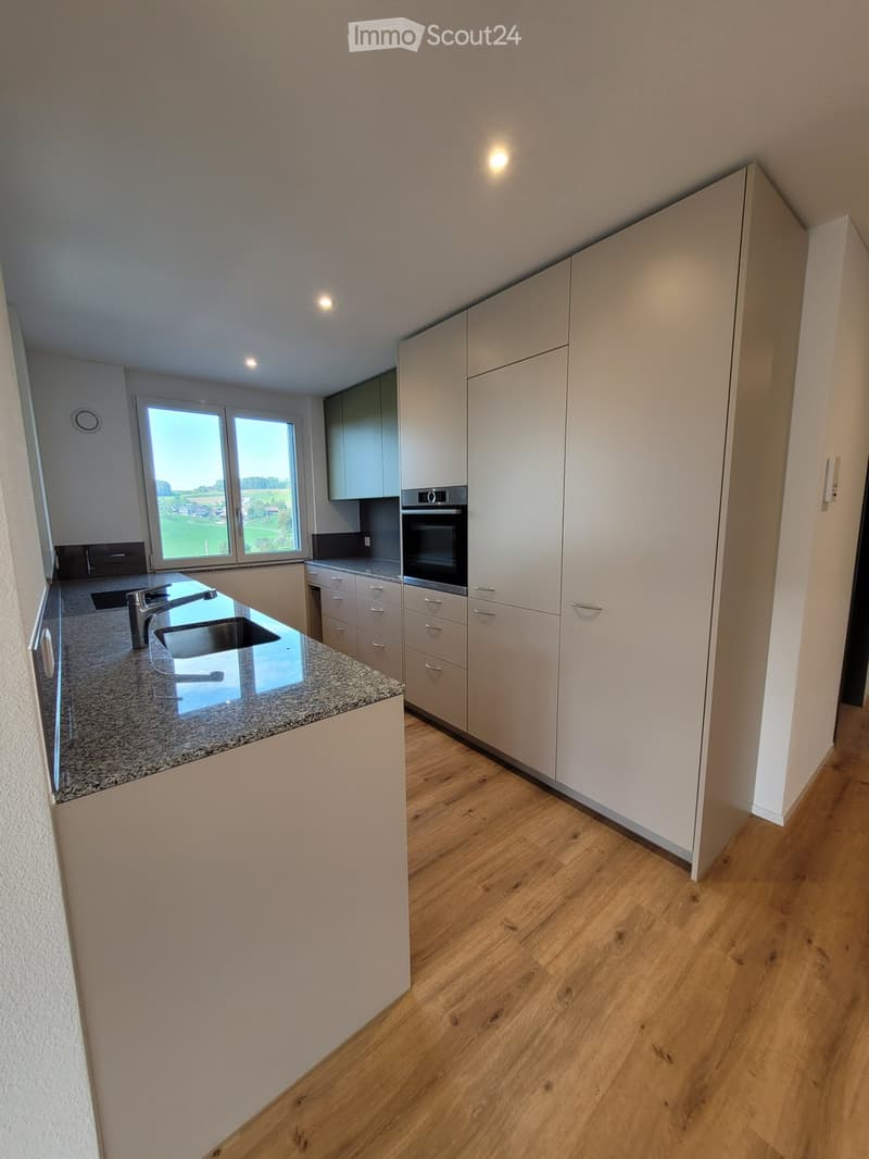 À louer à la ferme, appartement 3½ pièces moderne (5)