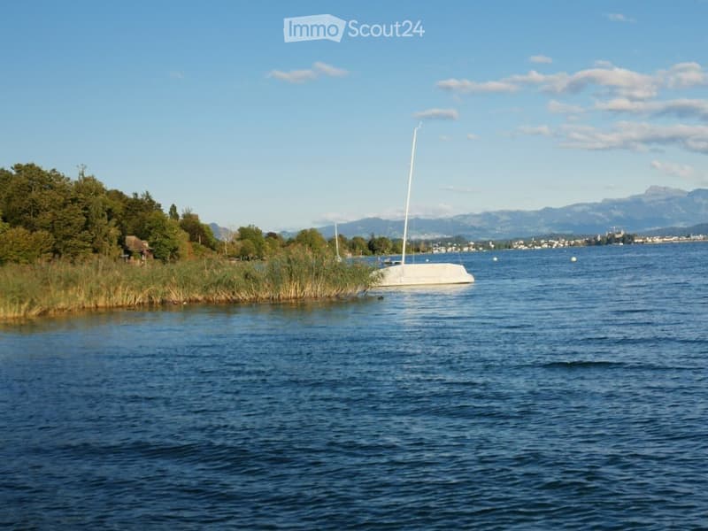 Mieten von Zimmern im schönen Goldcoast Lake Zurich Area (5)