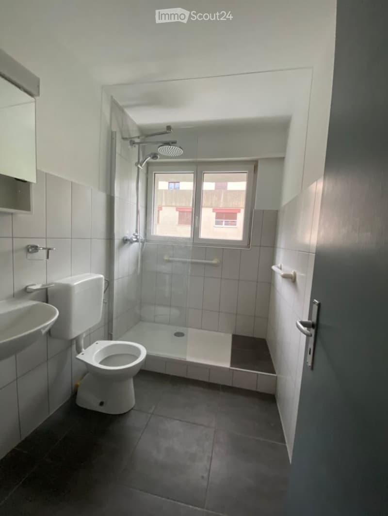 For rent 3.5-room apartment, bright, renovated bathroom and kitchen with balcony (4)