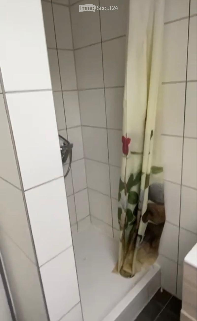 Wohnung mit 3 Zimmern und viel Licht mit Dachfenster (4)