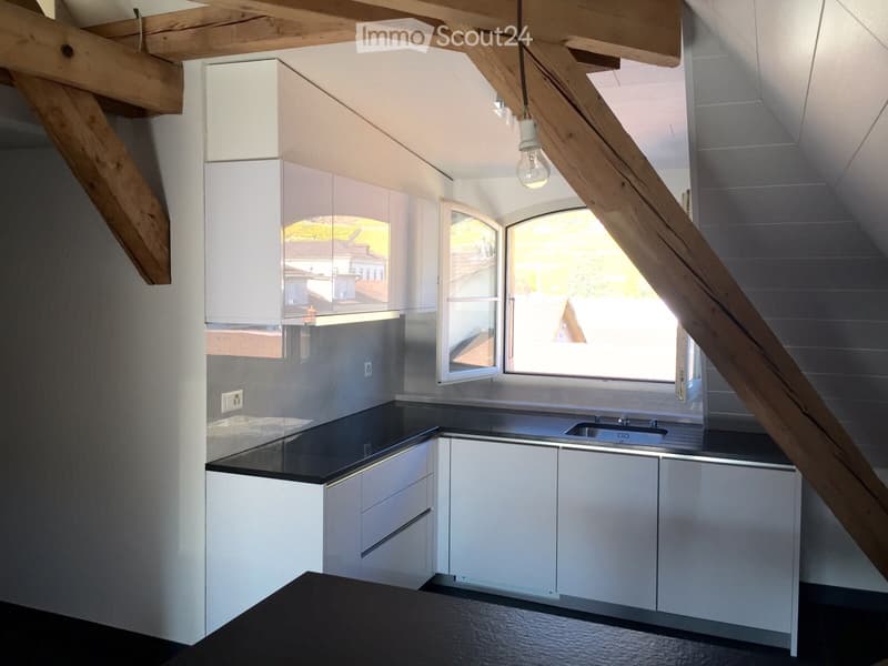 Duplex-Wohnung (1)