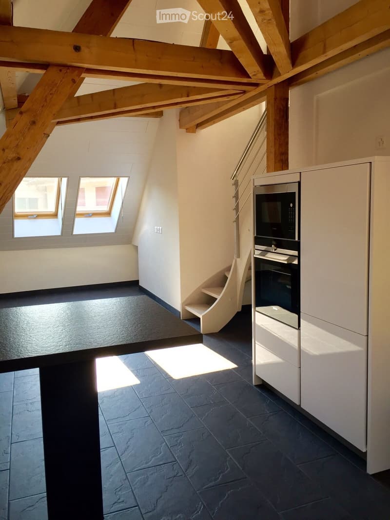 Duplex-Wohnung (3)