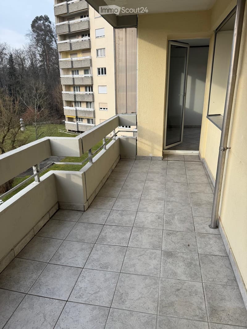 4.5 room apartment for rent (3)