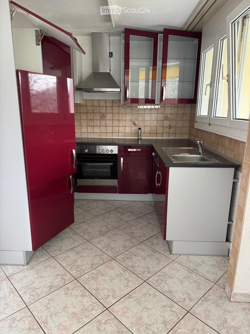 4.5 room apartment for rent (1)