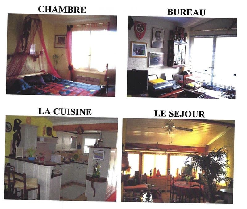 Detached house with large plot in the Arboretum (2)