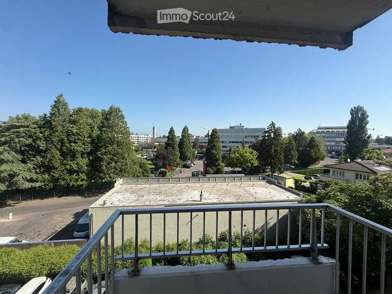 Studio 100 Meter von der Grenze zu Genf (3)