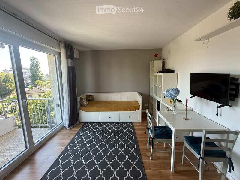 Studio 100 Meter von der Grenze zu Genf (2)