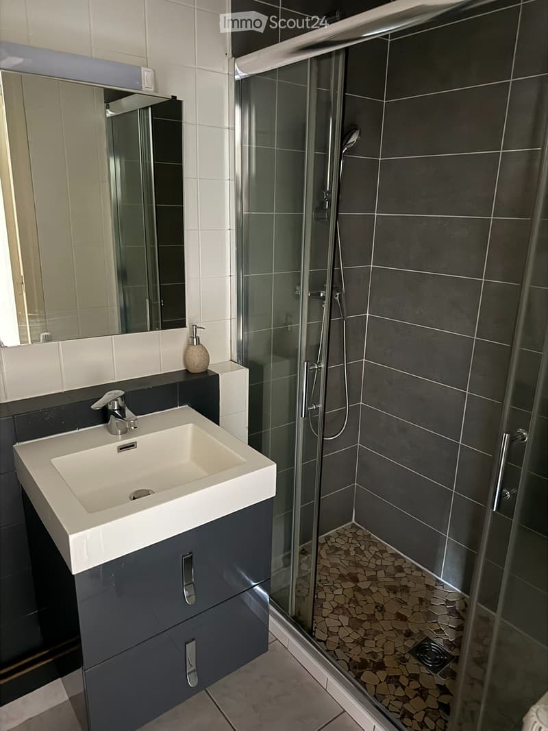 Studio 100 Meter von der Grenze zu Genf (5)