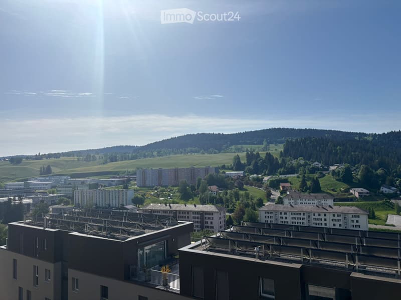 Attique ensoleillé et calme de 3.5 pièces avec Terrasse (1)