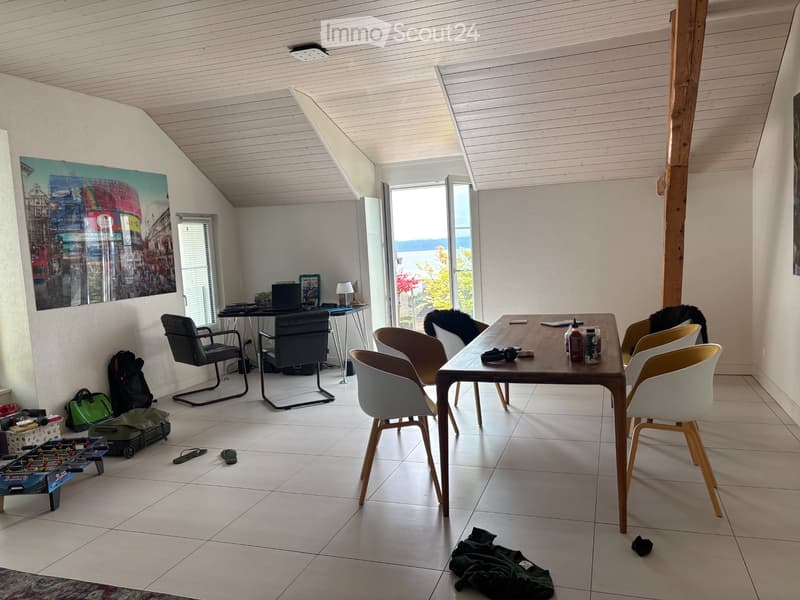 Super apartment - with a view of the lake - rue de la Côte (2)