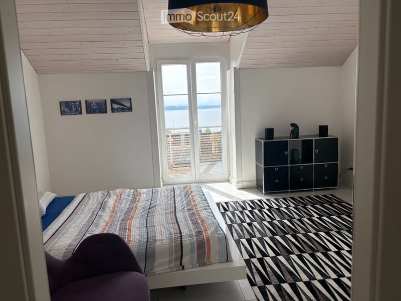 Super apartment - with a view of the lake - rue de la Côte (5)