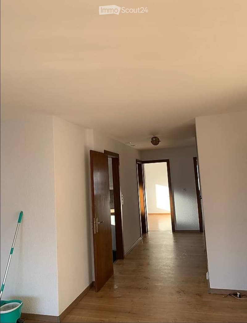 Appartamento 4.5 locali (2)