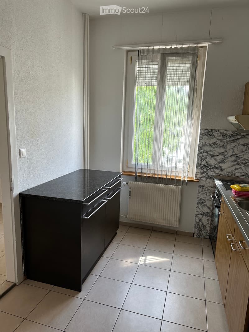3 and 1/2 room apartment (2)