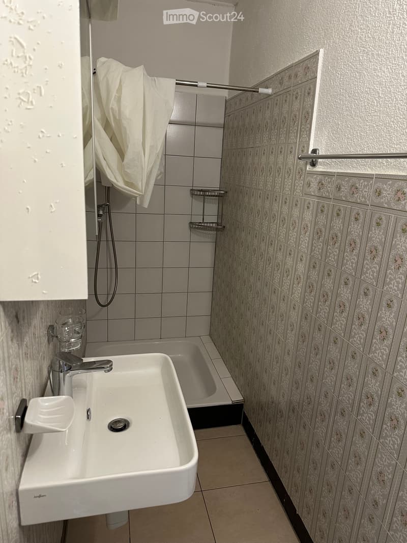 3 and 1/2 room apartment (4)