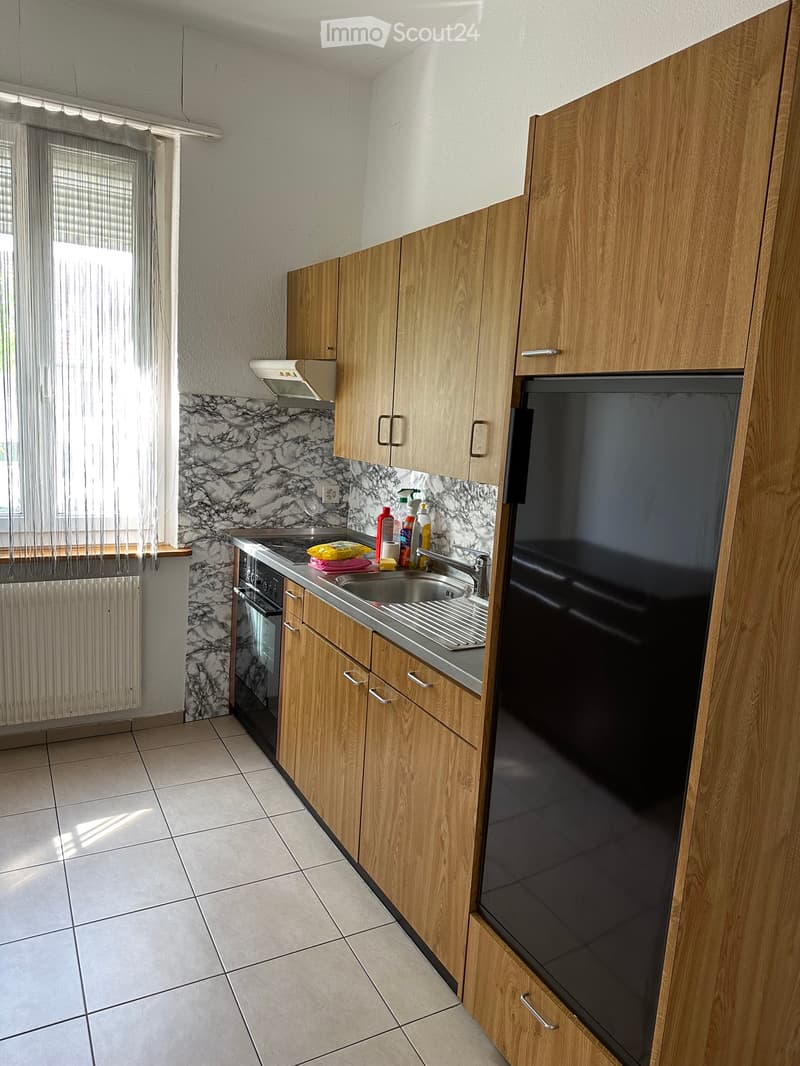 3 and 1/2 room apartment (3)