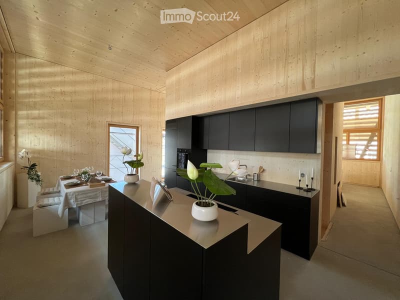 Appartamento 3.5 locali con grande galleria (3)