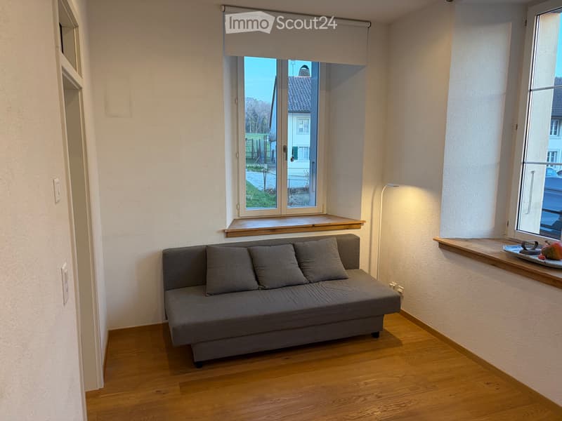 Appt de 1,5 pcs 26 m2 à louer à 1684 Mézières FR (5)