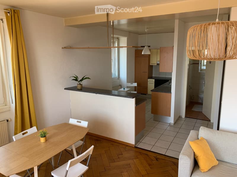 DUPLEX MOBILIERT MIT CHARME FÜR 4 MONATE (1.7.26 BIS 31.10.26) (4)